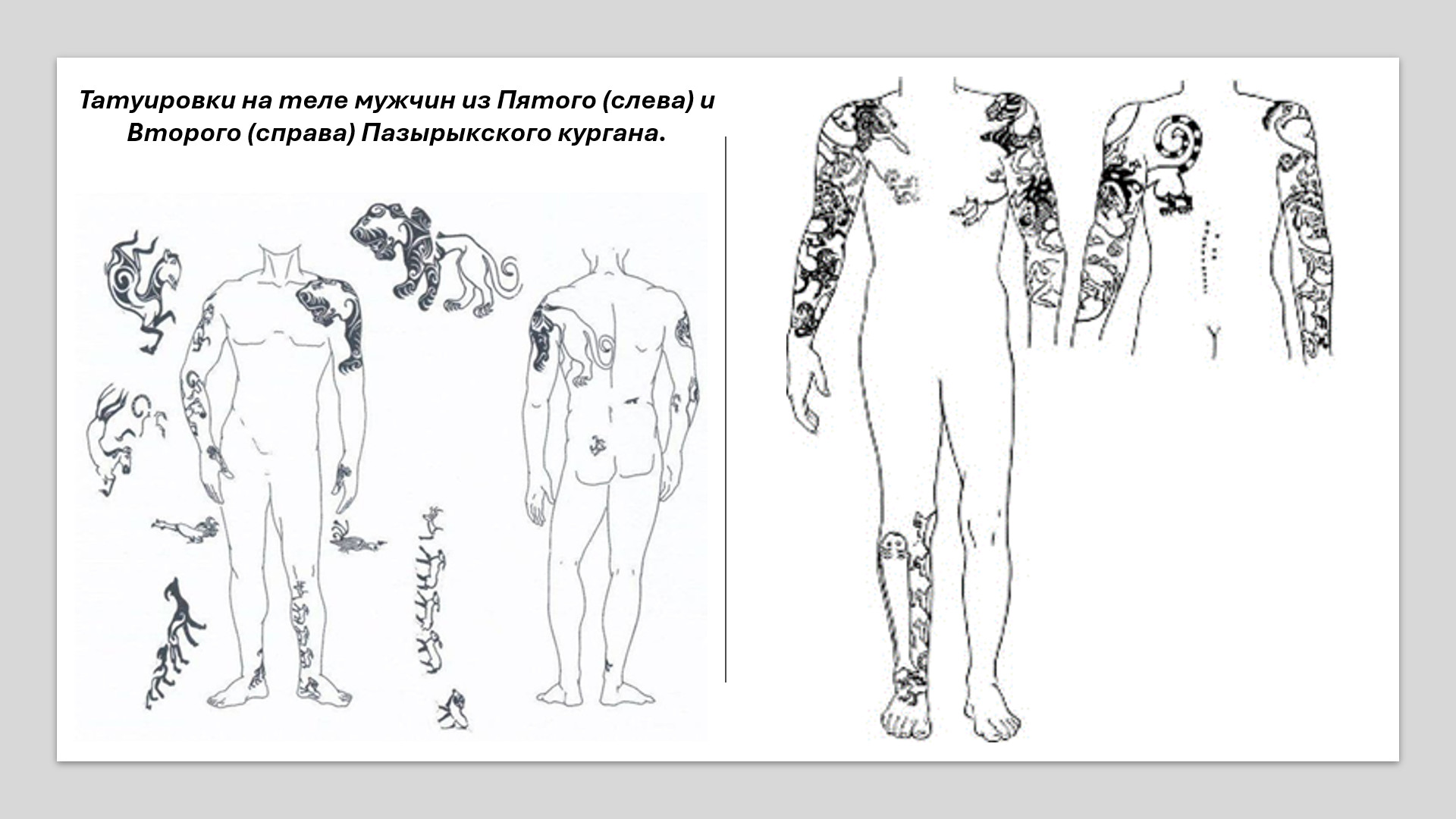 Татуировки у скифских мумий. Культурный код - татуировки, Пазырык, мумии, курганы, скифы